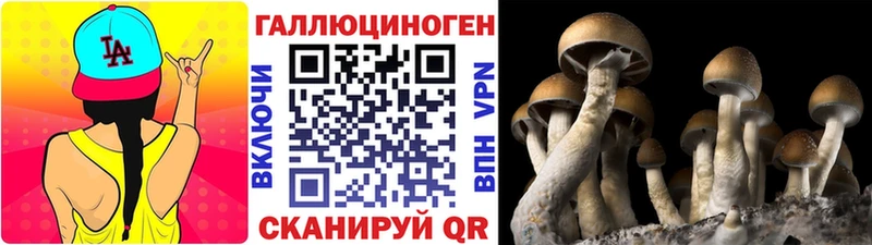Галлюциногенные грибы мицелий  Ковров 