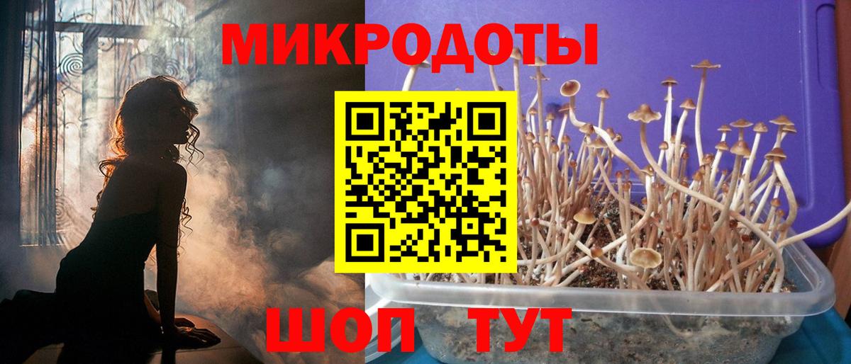 Ковров  Псилоцибиновые грибы Magic Shrooms  магазин продажи наркотиков  Вход с VPN  Псилоцибиновые грибы Magic Shrooms 