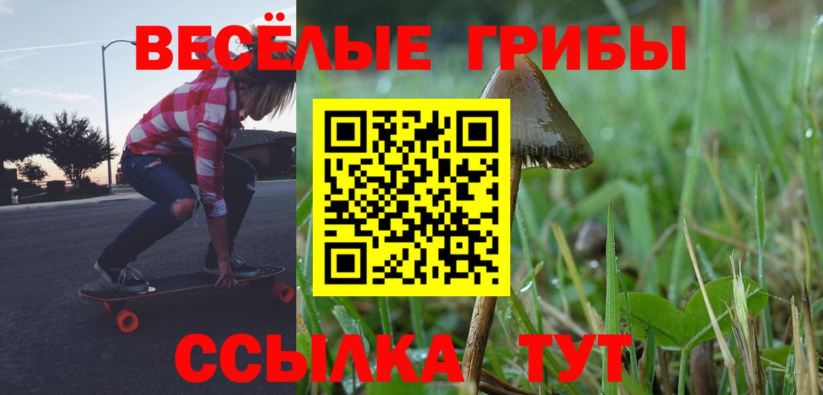Псилоцибиновые грибы мицелий Ковров